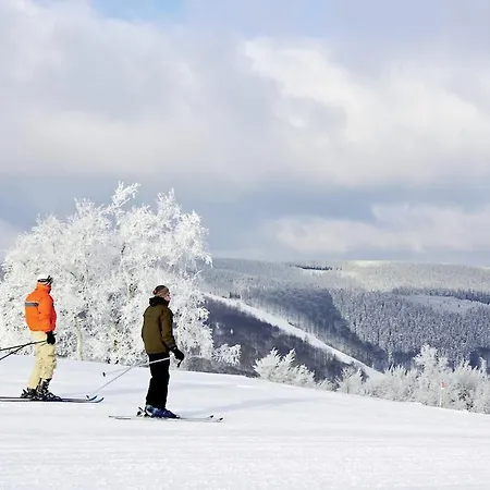 Apartment Central Віллінген