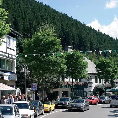 Apartment Central Віллінген